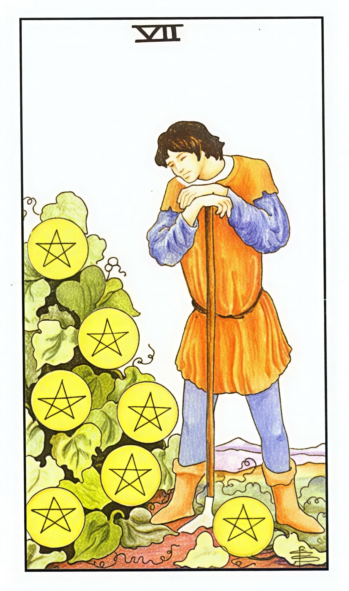 星币七
